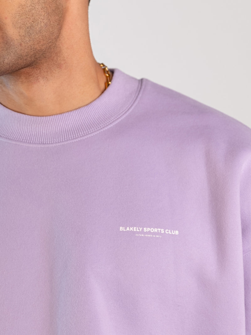 Panel Relaxed Jumper - Violet